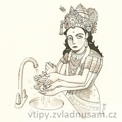 Koronavirus - covid-19